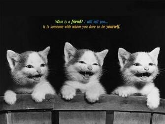 Friendship Wallpaper Cards Pictures And Friends Quotes