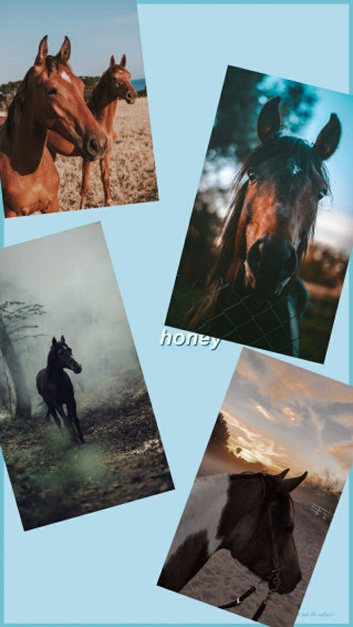 Horse Aesthetic Cute Pictures Wallpaper Beautiful