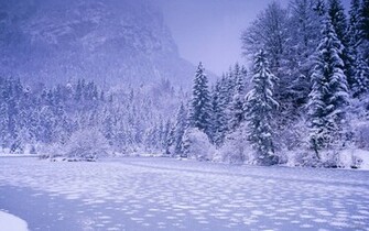 Winter Landscapes Wallpaper Grasscloth