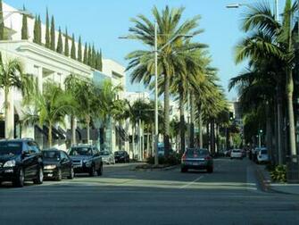 Displaying Gallery Image For Palm Trees Hollywood Wallpaper