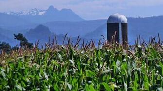 Farm Country Ii