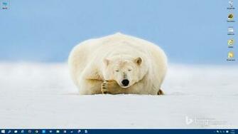 Celebrates Polar Bear Day With Absolutely Awesome HD Wallpaper