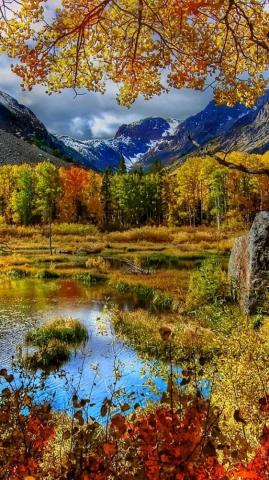 Fall Wallpaper For Phone HD