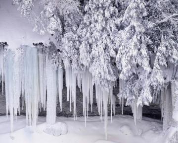 Winter Wonderland Background Net