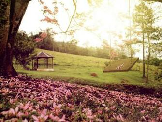 Springtime Swing HD Wallpaper