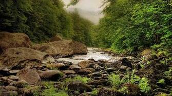 Aquascaping Inspiration Tips And Tricks HD Nature Wallpaper