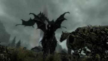 Wallpaper Dragons Horses Argonian Skyscapes