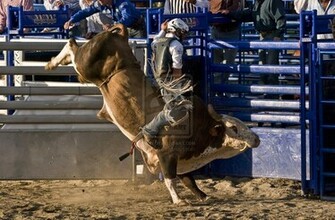 Bull Riding Wallpaper By Dyun