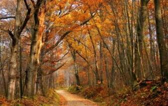 Fall Road Timeline Cover Background Pimp My Profile