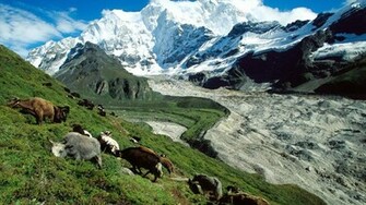 Kangshung Glacier Tibet Wallpaper