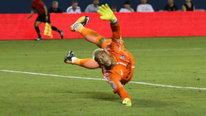 Alphonse Areola Wallpaper