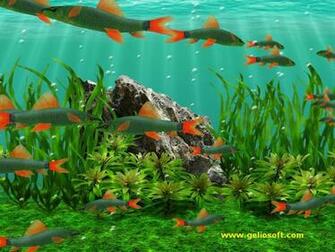 HD Wallpaper Moving Fish Aquarium Screensaver X Kb