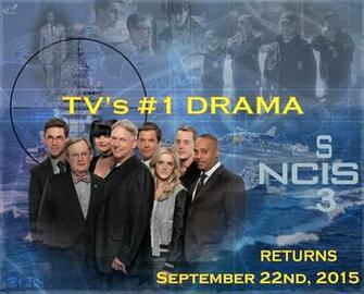 Ncis S13 Returns By Silverfox2159