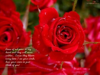 Wallpaper Love