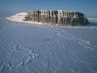 Habitats Tundra Pictures Wallpaper S