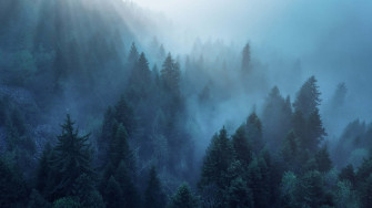 Foggy Aesthetic Wallpaper