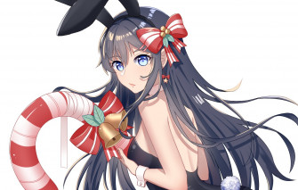 Wallpaper Look Girl New Year Christmas Rabbit Art Seishun