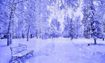 Winter Bench Snowy Day Scene The Park
