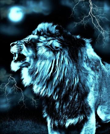 Snarling Lion Digital Art By Jan Bonner Fine America