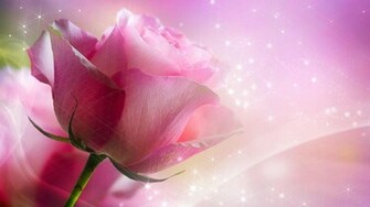 Pink Roses Live Wallpaper Android Apps On Google Play