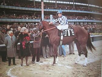 Secretariat Horse