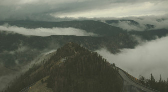 Wallpaper Id Beartooth Highway Surrounded By Trees On A