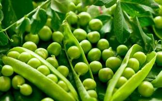 Pea Wallpaper Food Hq Pictures 4k