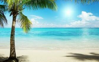 Tropical Beach Background