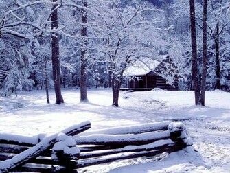 Winter Scenery