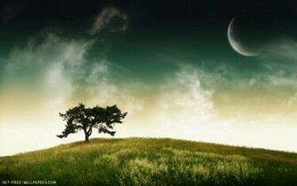 Lonely Tree Wallpaper