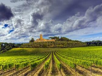 Tuscany Vineyard Wallpaper