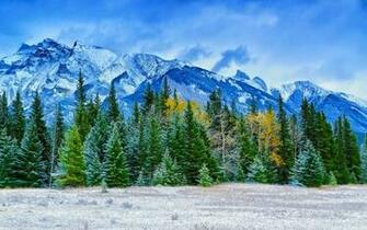 Early Winter Wallpaper
