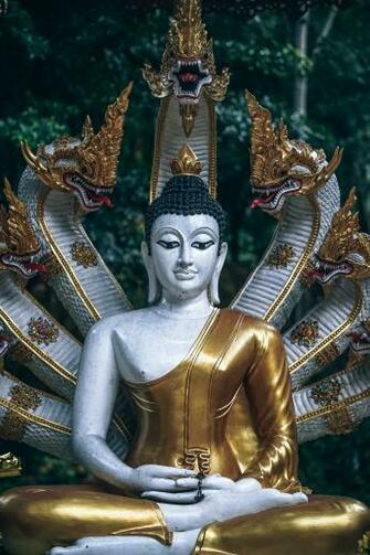 Macro Shot Photography Of Gautama Buddha Figurine Stock