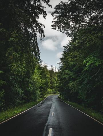 Rainy Street Pictures Image
