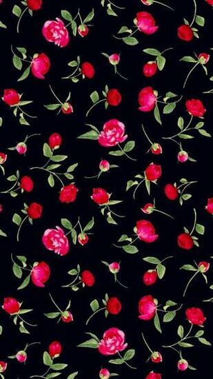 Best Wallpaper Rose Ideas