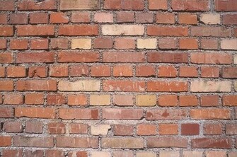 Prison Widow Uk Hitting A Brick Wall On Release From By