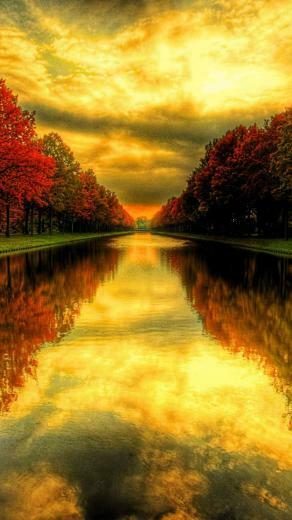 Fall iPhone Wallpaper