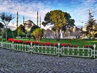 Blue Mosque Wallpaper