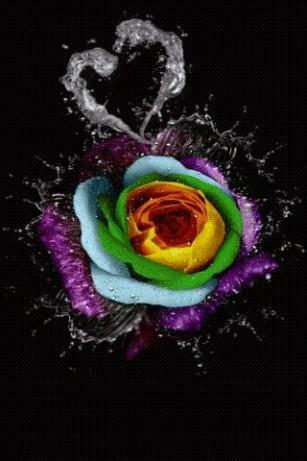 Rainbow Rose Live Wallpaper For Android By