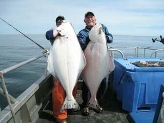 Best Halibut Wallpaper