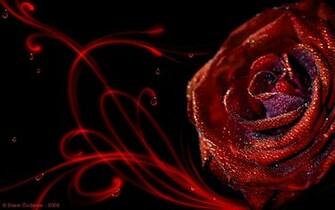 Passion Desktop Pc And Mac Wallpaper