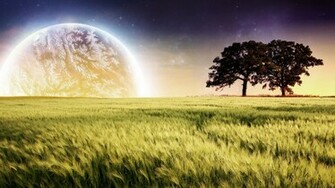 Nature Fantasy Field Wallpaper HD