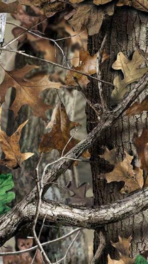 Realtree Camo iPhone Wallpaper