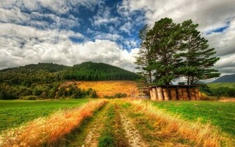 New Zealand Nature HD Wallpaper
