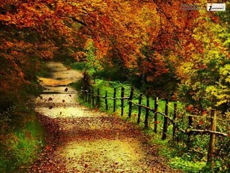 Beautiful Autumn Scenery Wallpaper