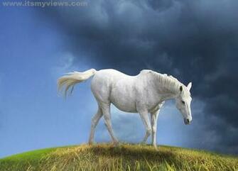 Horse Racing Desktop Wallpaper High Definition