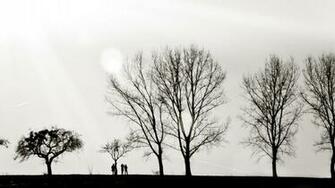 Black And White Horizon Trees Silhouette Monochrome Wallpaper