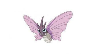 Venomoth Wallpaper