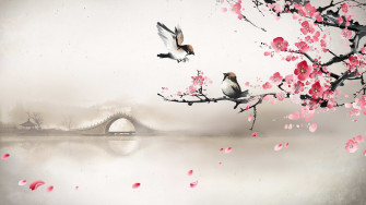 Sakura Wallpaper Image Photos Picture