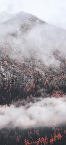 White Fall iPhone X Wallpaper